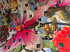 Koninklijke Beuk Travel, Incentive, bedrijfsuitje, Rotterdam, Markthal